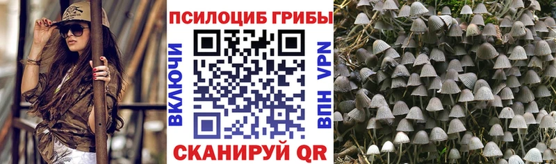 закладки  Кочубеевское  Псилоцибиновые грибы ЛСД 
